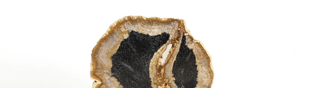 Petrified Wood