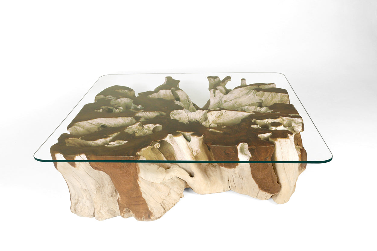 Teak Root Coffee Table H – Walker Zabriskie Furniture